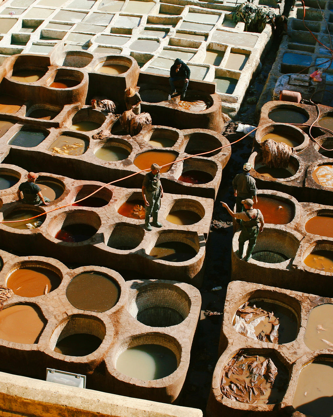 Eco Dyes vs Natural Dyes