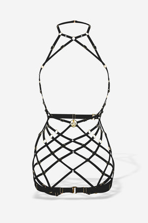 Venus Convertible Body